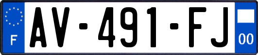 AV-491-FJ