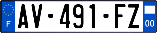 AV-491-FZ