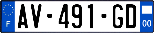 AV-491-GD