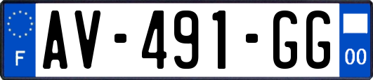 AV-491-GG