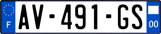 AV-491-GS