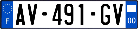 AV-491-GV