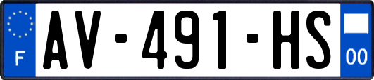 AV-491-HS