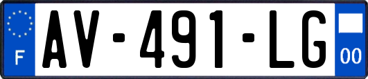 AV-491-LG