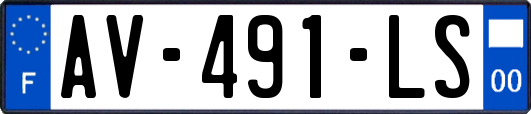 AV-491-LS