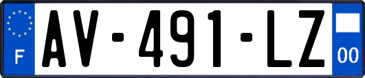 AV-491-LZ