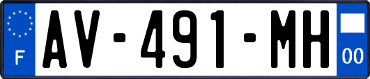 AV-491-MH