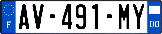 AV-491-MY