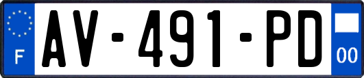 AV-491-PD