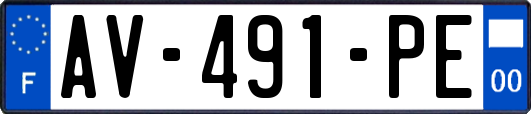 AV-491-PE