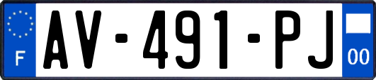 AV-491-PJ
