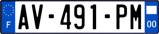 AV-491-PM