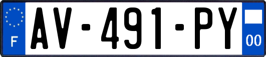 AV-491-PY