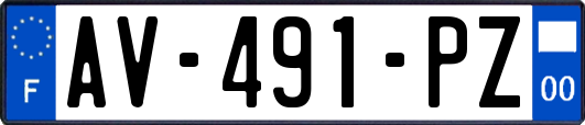 AV-491-PZ