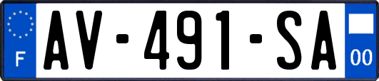 AV-491-SA