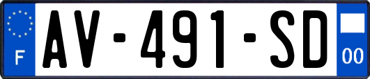 AV-491-SD