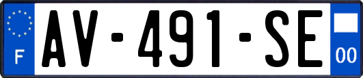 AV-491-SE