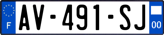 AV-491-SJ