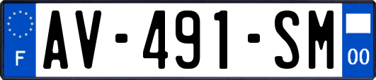 AV-491-SM