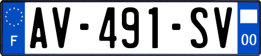 AV-491-SV