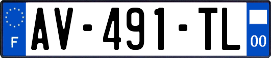 AV-491-TL