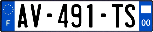 AV-491-TS
