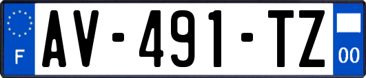 AV-491-TZ