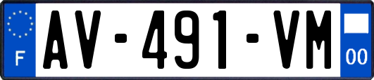 AV-491-VM