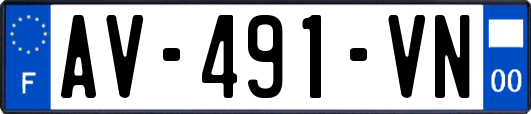 AV-491-VN