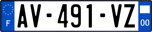 AV-491-VZ