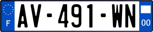 AV-491-WN