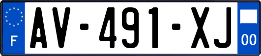 AV-491-XJ
