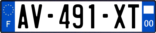 AV-491-XT