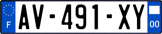 AV-491-XY
