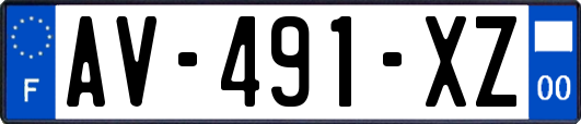 AV-491-XZ