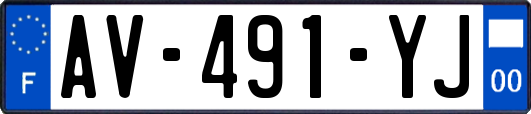 AV-491-YJ