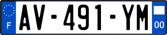 AV-491-YM