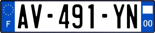 AV-491-YN