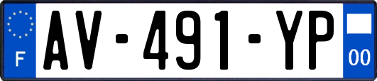 AV-491-YP