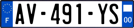 AV-491-YS