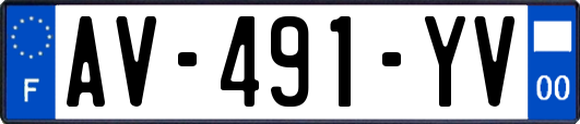 AV-491-YV