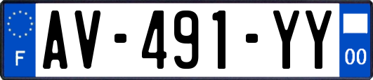 AV-491-YY