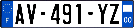 AV-491-YZ