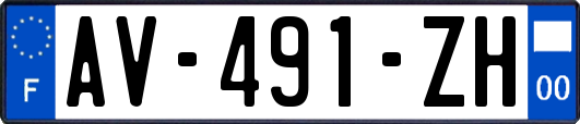 AV-491-ZH