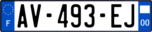 AV-493-EJ