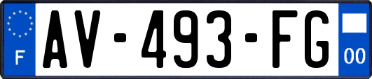 AV-493-FG