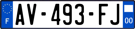 AV-493-FJ