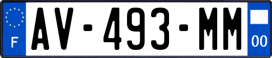 AV-493-MM