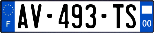 AV-493-TS