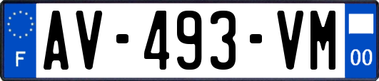 AV-493-VM